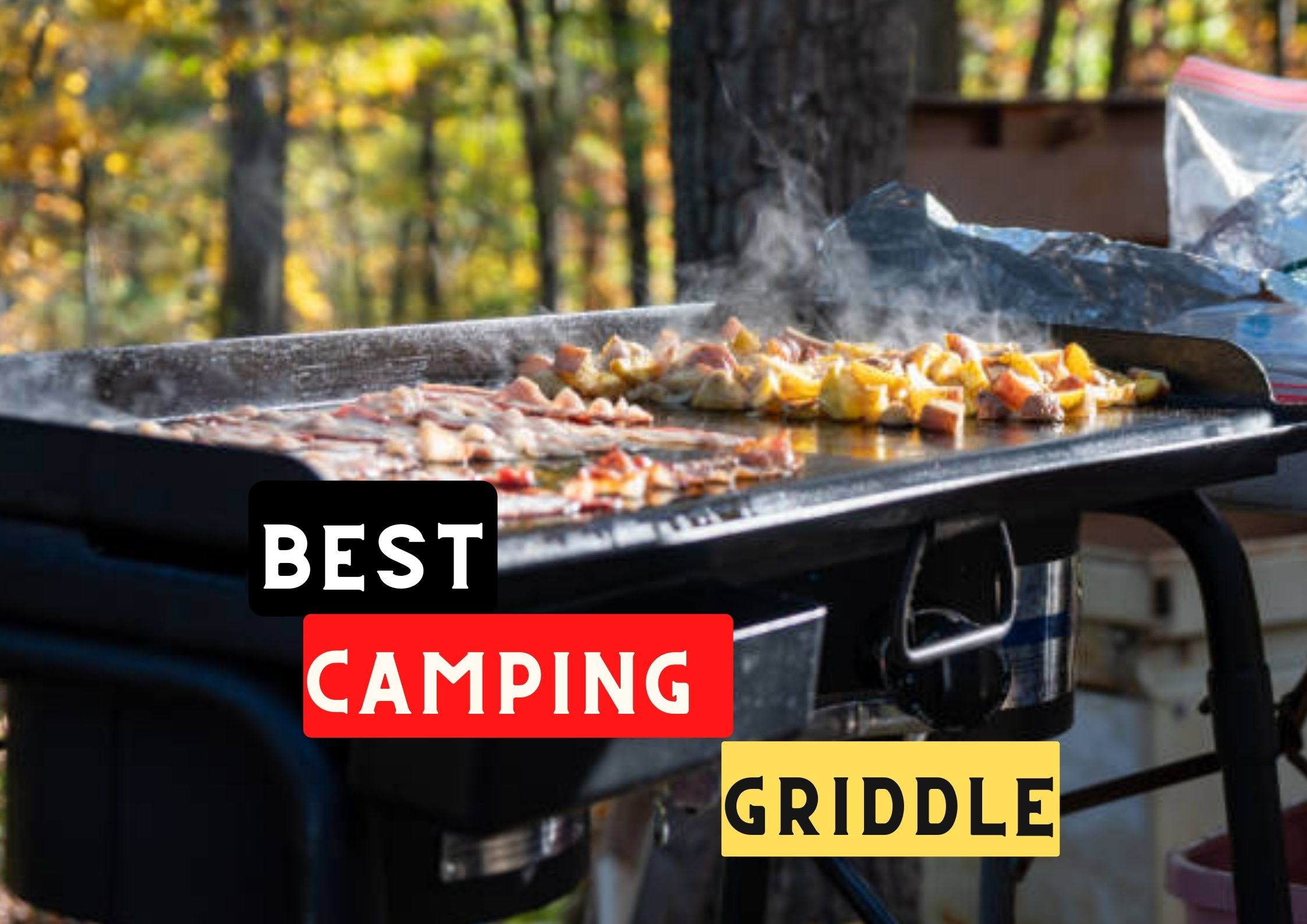 best camping griddle