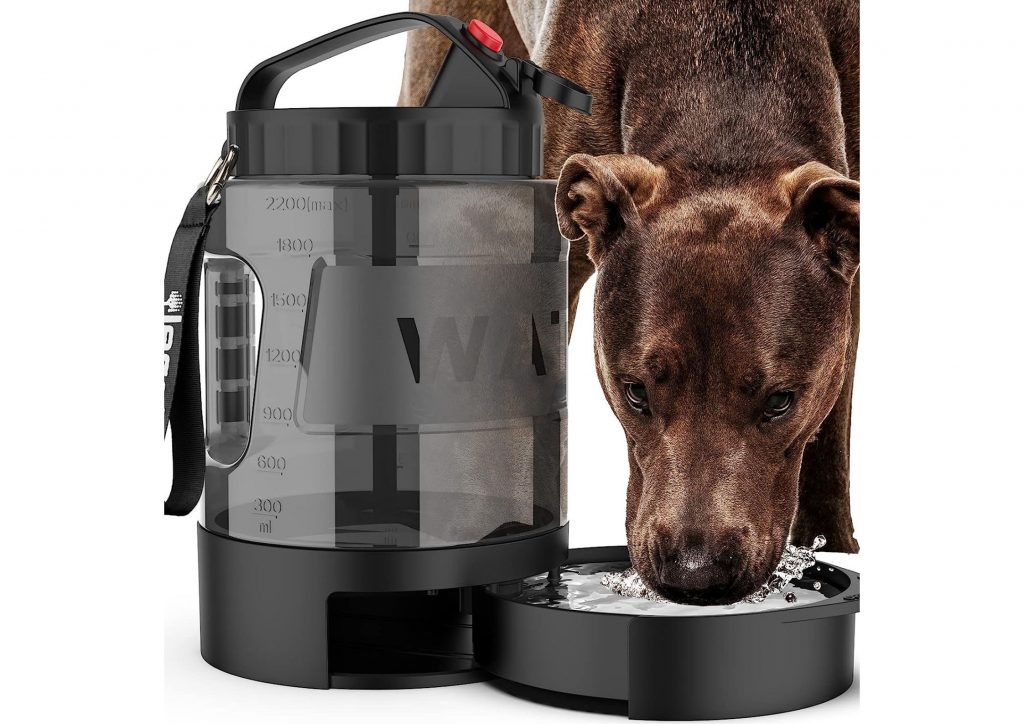 dog water despenser