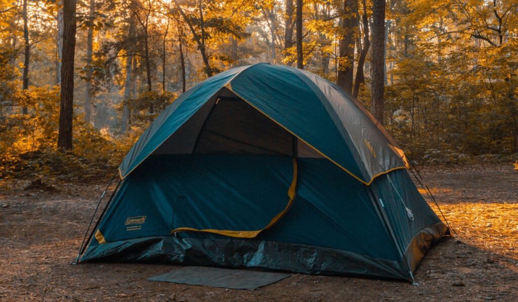 5 most important things to bring camping