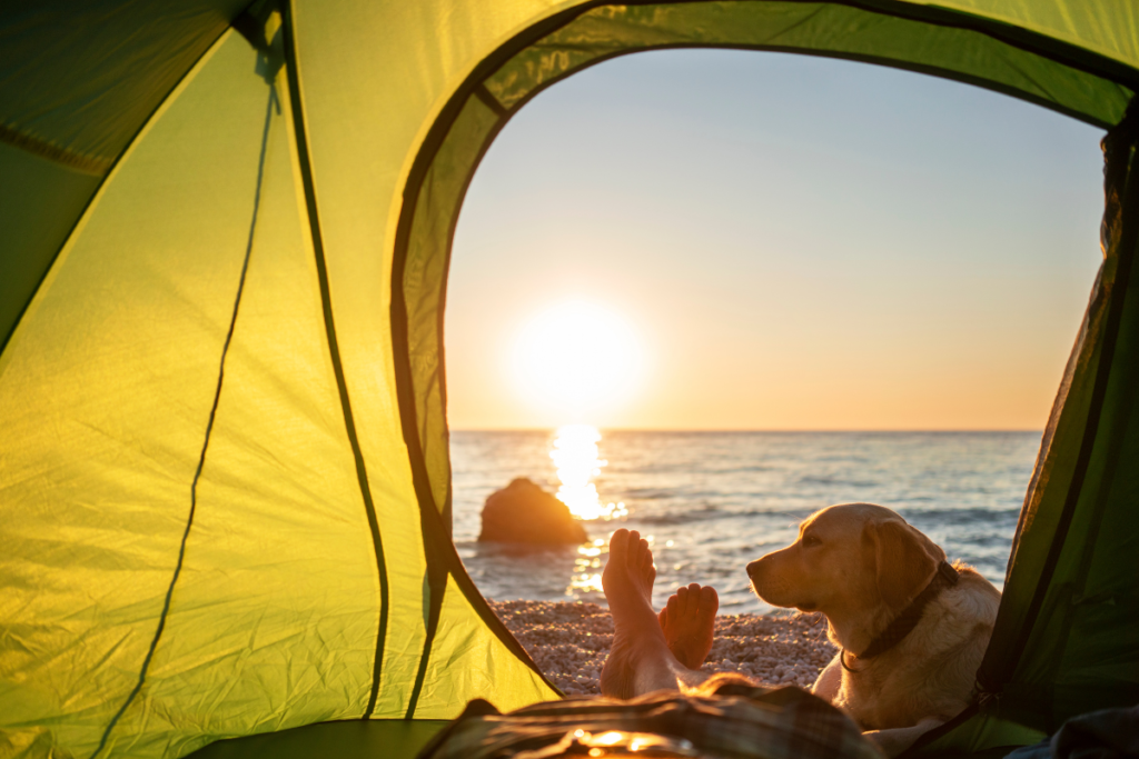 tent camping