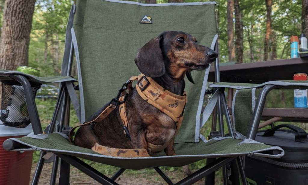 GCI Outdoor Rocker Camping Chair Review